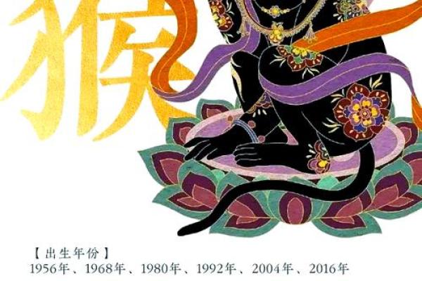 属猴运势起伏，如何应对生活挑战