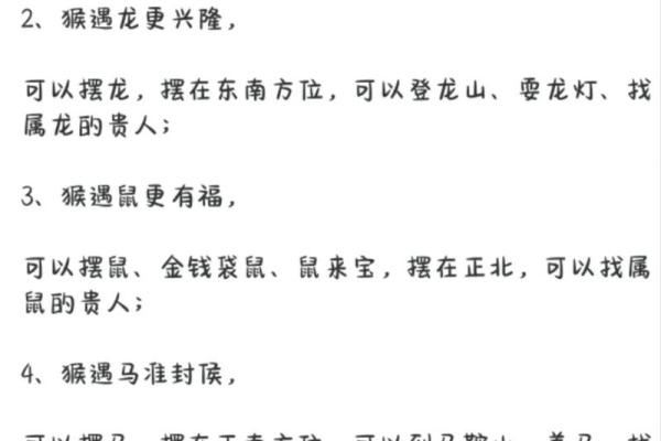 属猴运势起伏，如何应对生活挑战
