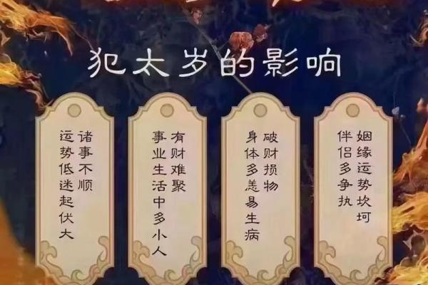 虎年出生的羊年人运势指南