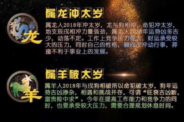 虎年出生的羊年人运势指南