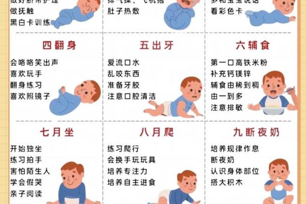 宝宝玩具的命名技巧，助力宝宝成长