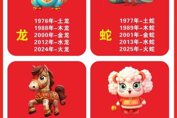 出生鼠人运程全揭秘
