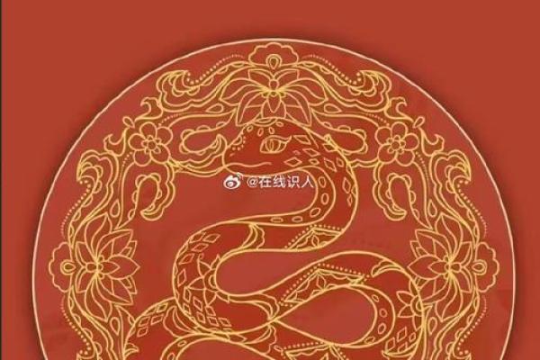 蛇年生人的命运走势：运势起伏与应对策略