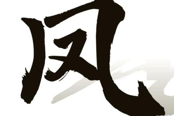 凤字五行属性解析与深层意义探索