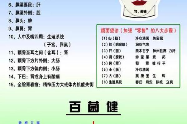 凤字五行属性解析与深层意义探索