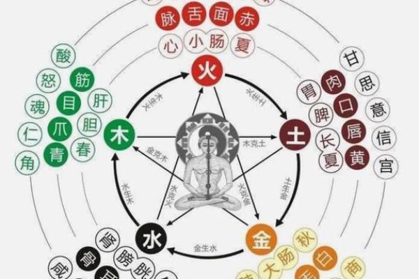 五行生克图的奥秘解析与应用指南