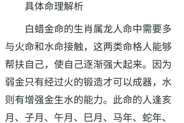 属什么命的解析与运势分析