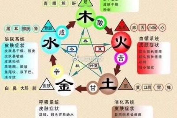 远字五行属性解析及其在命理中的应用