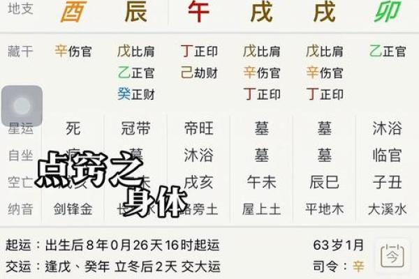 食神命的五行属性与人生影响