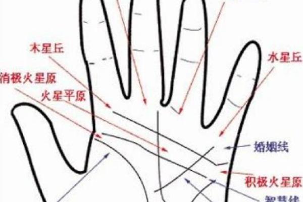 从手型看命运：哪些手形暗示着富贵一生