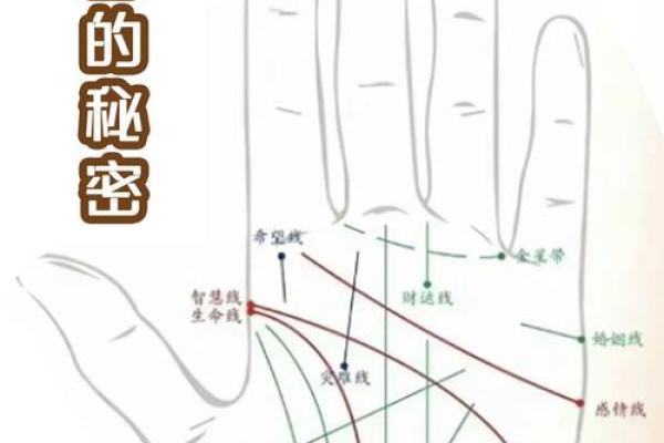 相运程全解析，揭秘你的命运走向
