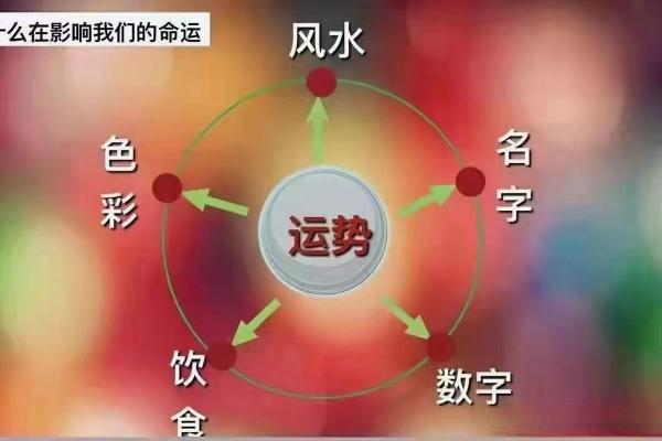 相运程全解析，揭秘你的命运走向