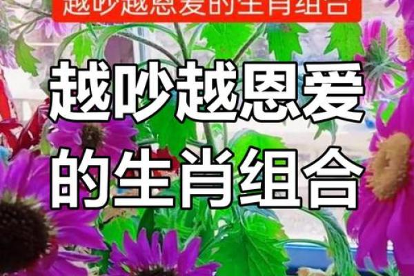 男属鸡女属猪婚姻配对解析：相互理解还是难以融合