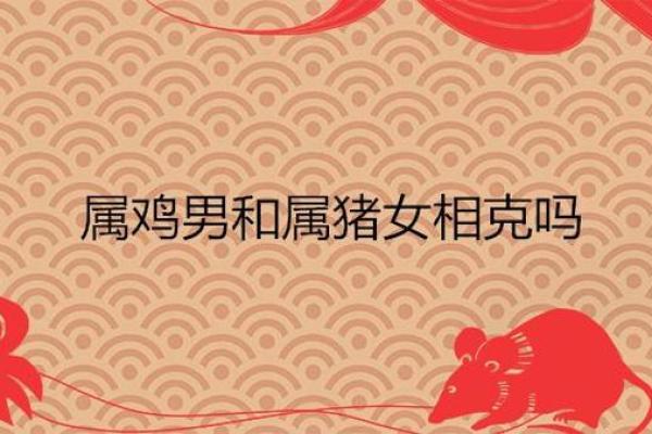 男属鸡女属猪婚姻配对解析：相互理解还是难以融合