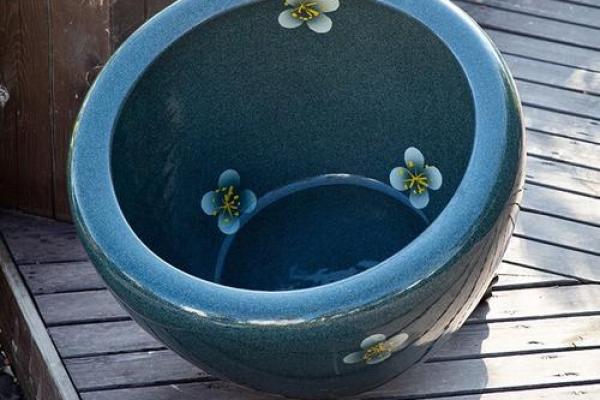 睡莲家居风水布局指南 让家更有生气