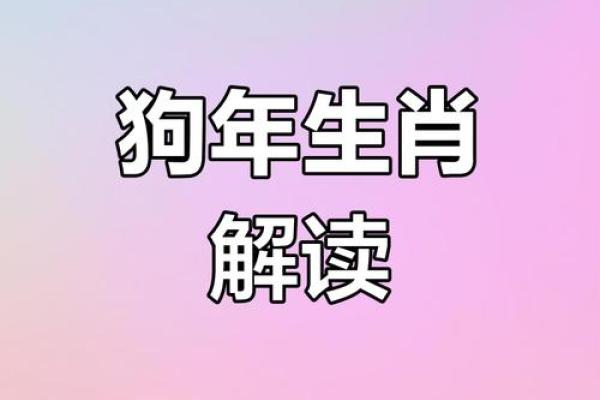 与属狗人运程解析