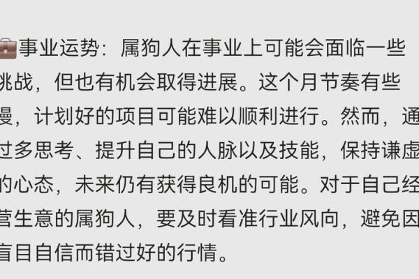狗年出生人的运势解析与未来发展趋势