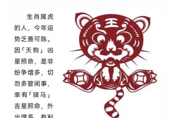 龙年运势解析及全年运程预测