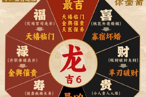 属龙人运势解析