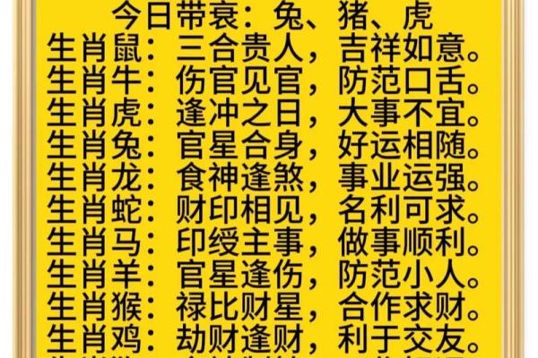 二生肖运势解析与调整建议