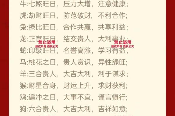 二生肖运势解析与调整建议