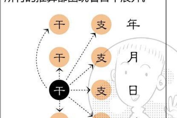 菲字五行属性解析及其命理影响