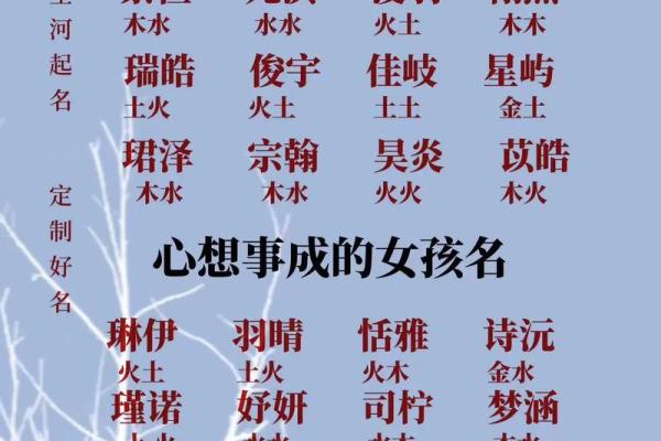 最适合姓杨鸡宝宝的名字精选