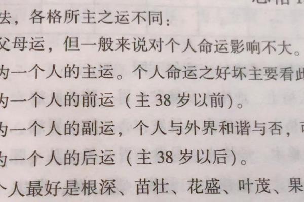 解密幸运八字的命运密码与人生启示