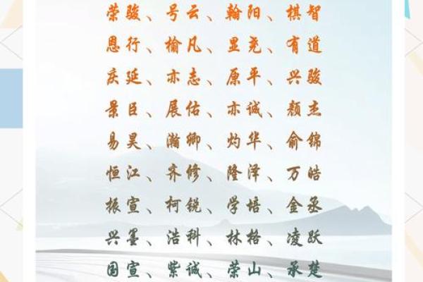 如何为刘男孩起一个独特且有意义的名字