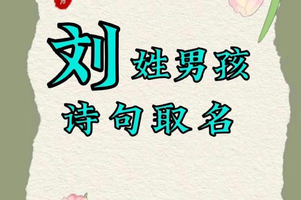 如何为刘男孩起一个独特且有意义的名字