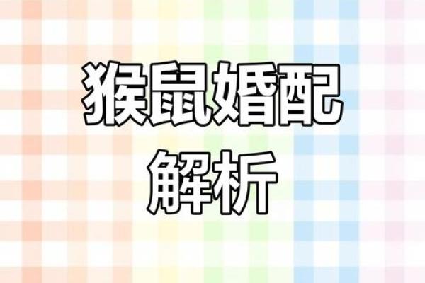 属猴男女的爱情配对：优势与挑战并存