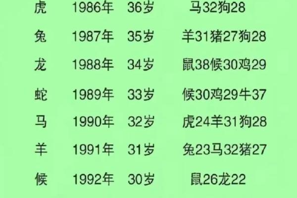 属龙女和属鼠男的性格契合度如何