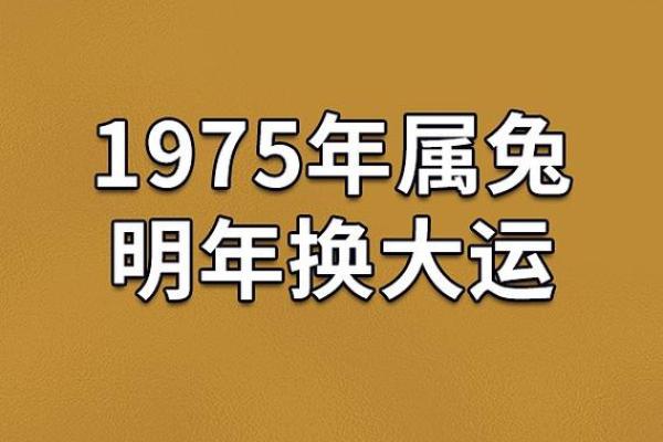 狗年兔年运程如何影响运势