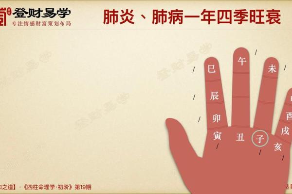 康字的五行属性解析及其相关含义