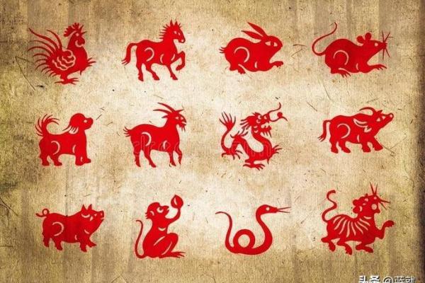 猴年马人运程解析 运势全揭晓