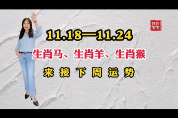 猴年马人运程解析 运势全揭晓