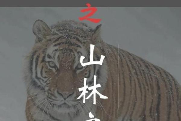 水命虎与其他五行虎的区别与联系