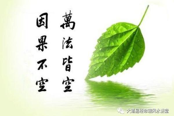 属羊人运程全解：从财运到爱情的全面预测