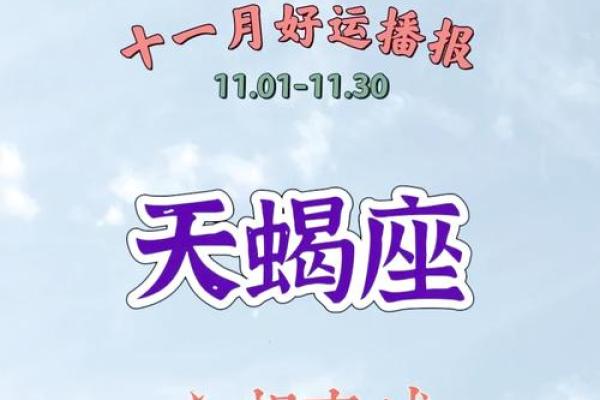 今日天蝎座运势详解：抓住机遇，稳步前行