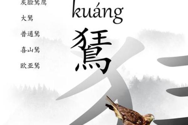 鹏字五行属性解析及其命理意义