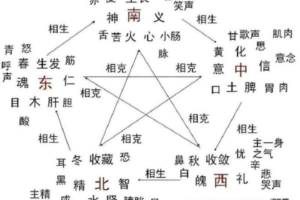 午命与五行的关系及其影响