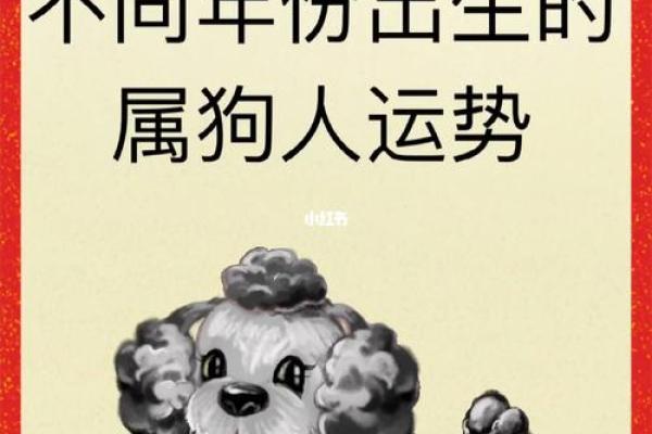 属狗全年运势逐月预测