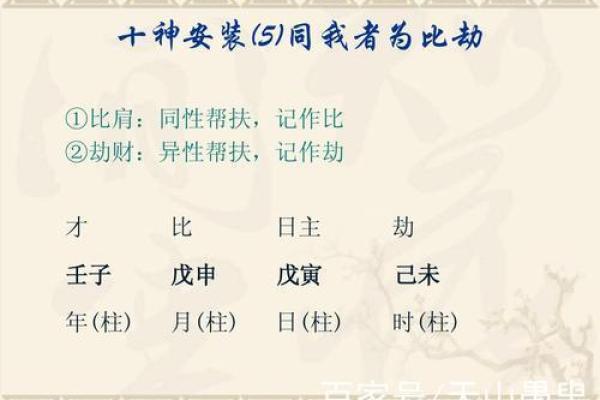 食神是男命的含义与命理解析