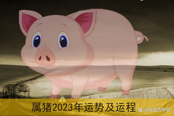 猪年出生人的整体运势与调整策略
