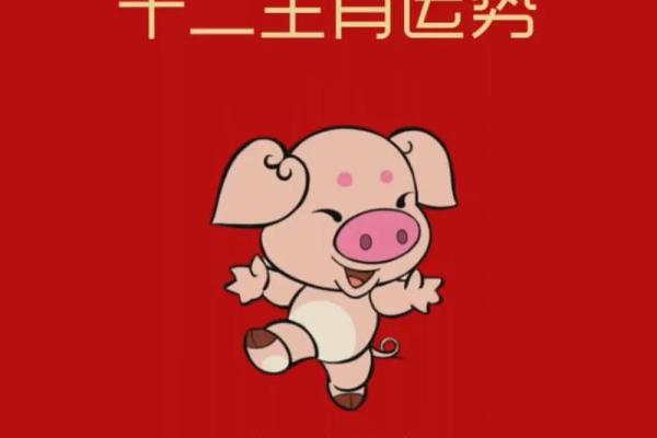 猪年出生人的整体运势与调整策略