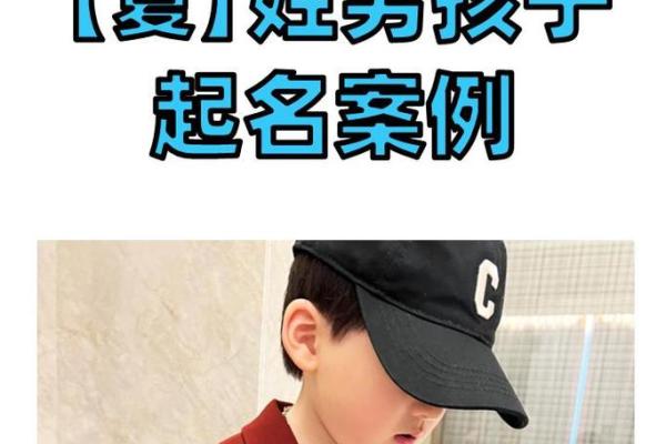 如何为夏姓鸡宝宝取一个独特又有寓意的名字