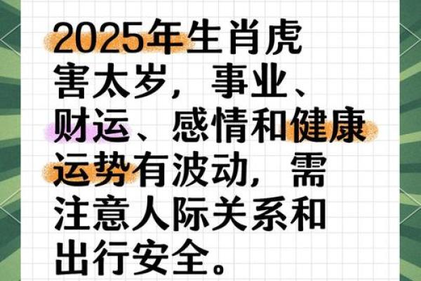 对出生虎人的运程及重要影响