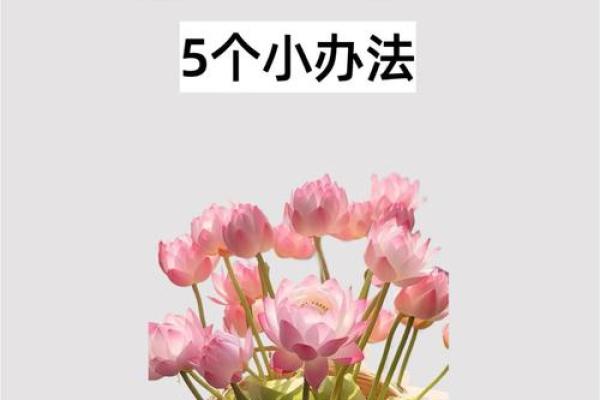 风水设计技巧让你的家焕发好运