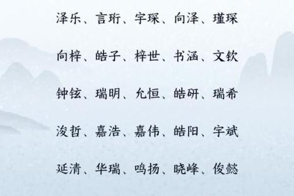 于姓男宝宝命名技巧：如何平衡音韵和寓意