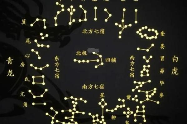 青龙命的特征与命理解析：如何识别和理解青龙命人的命运走势